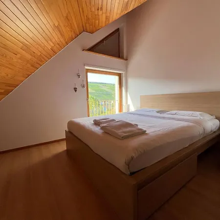 Villa In The Heart Of The Roadwine Near Colmar *